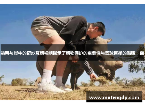 姚明与犀牛的奇妙互动视频揭示了动物保护的重要性与篮球巨星的温暖一面