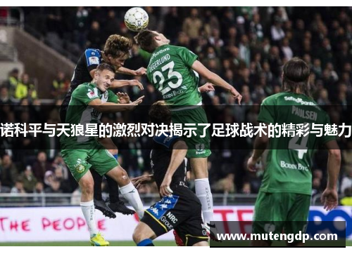诺科平与天狼星的激烈对决揭示了足球战术的精彩与魅力